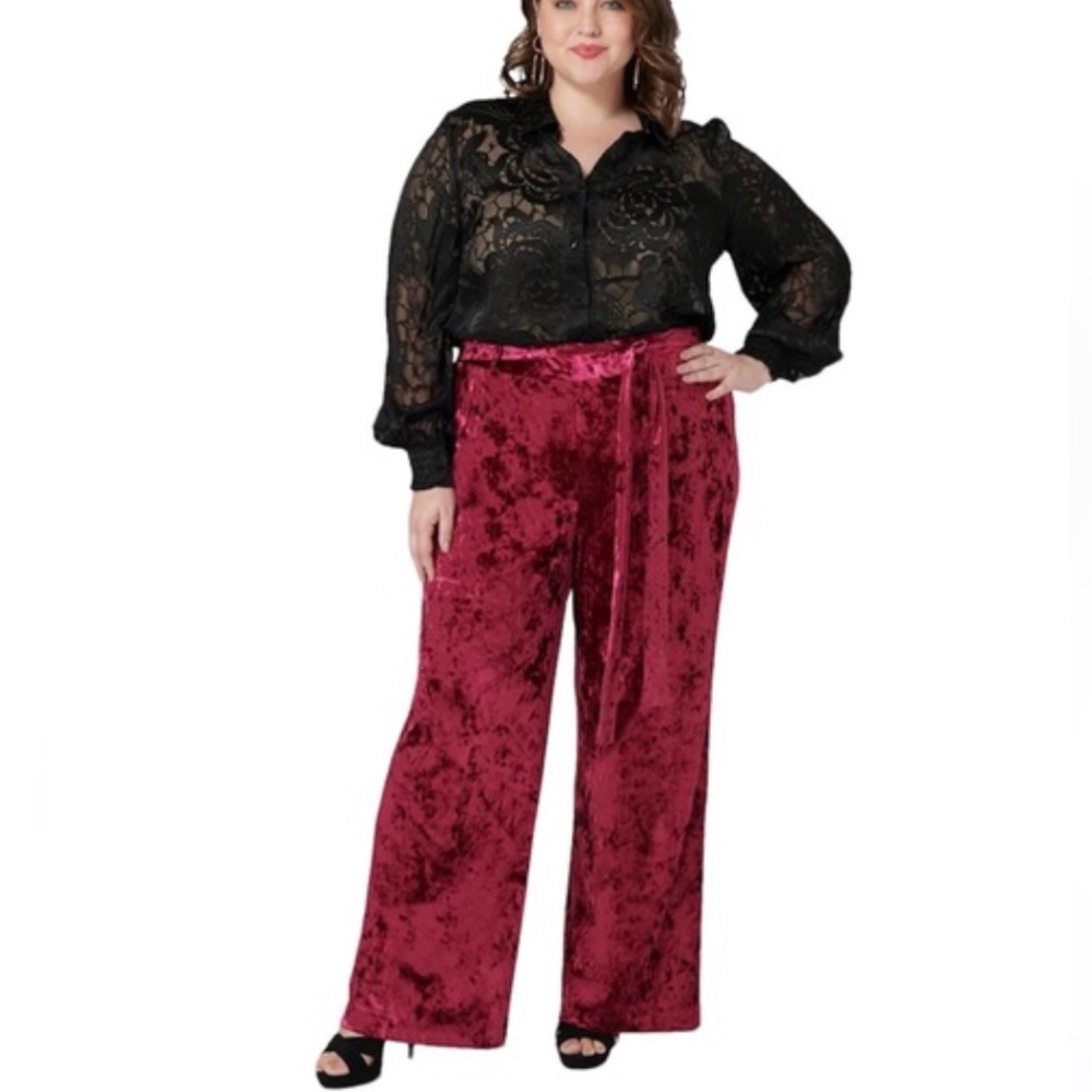 WOMEN’S SZ 14 WIDE LEG VELVET PANTS. NWT. MAREE.  #220